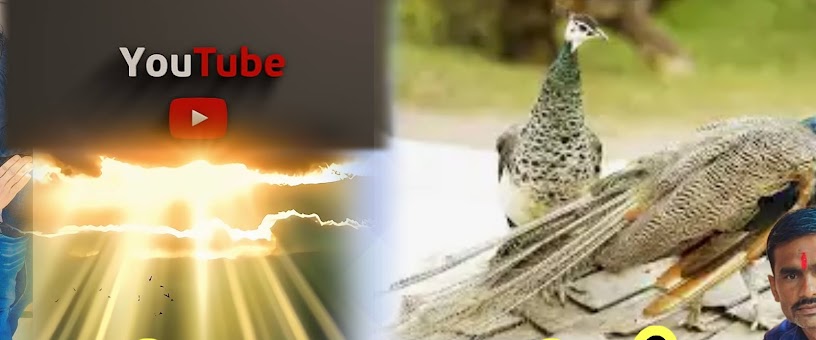 Artist Thumbnail