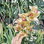 Slamet Orchid 