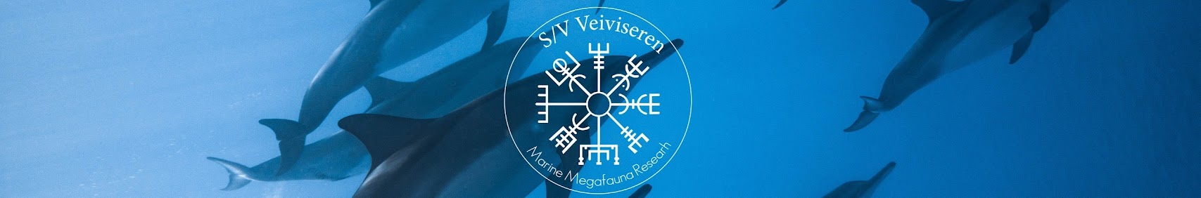 svveiviseren