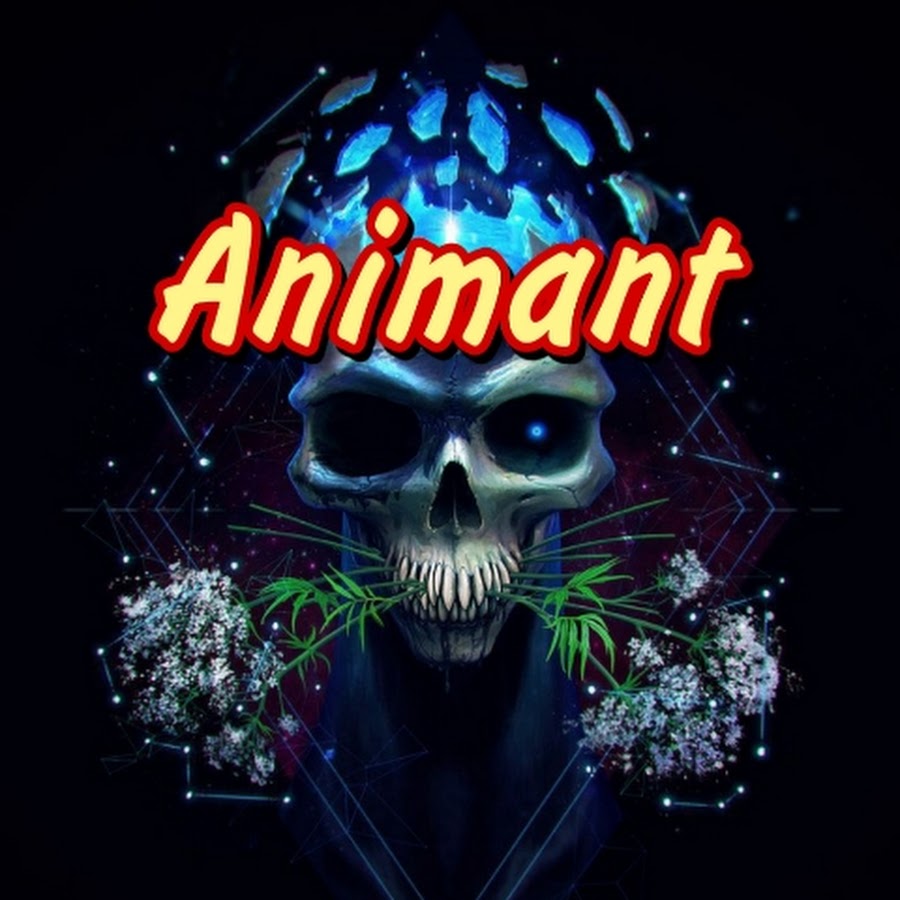 Animant - YouTube