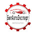 logo BelAutoExpert