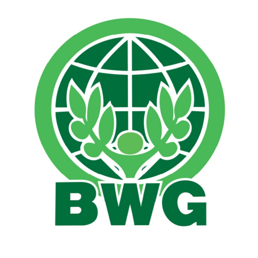 Green public. Public Company. Public Limited Company. Unlisted public Company. BWG компания.