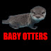 Baby Otters