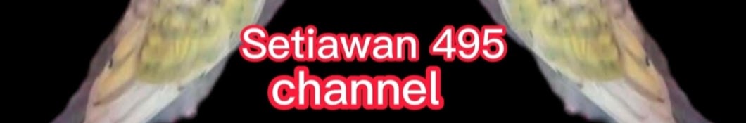 setiawan 495 channel