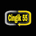 CINGIK 55 PRODUCTION