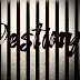 YouFoundDestiny