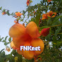 FNK net