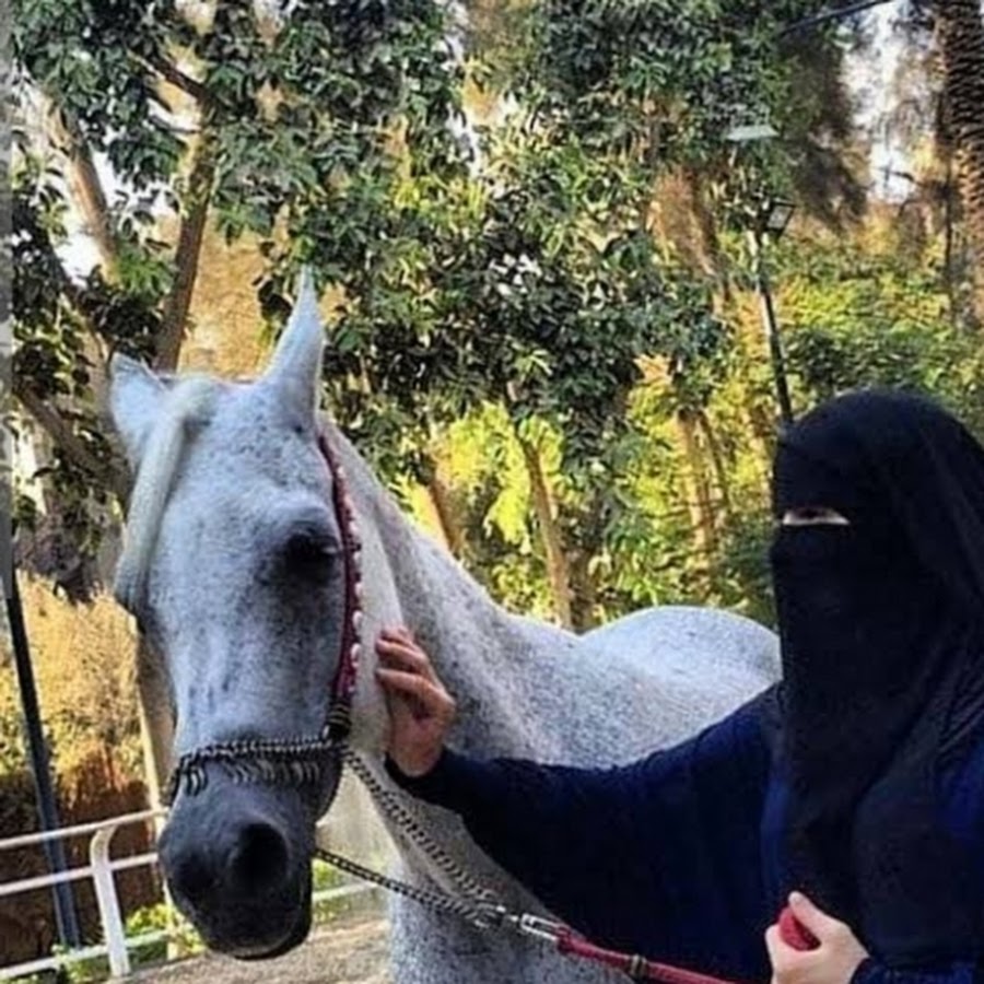 Мусульманские лошади. Лошадь в хиджабе. Мусульманка на лошади. Никаб на лошади.
