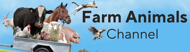 Farm Animals Channel 