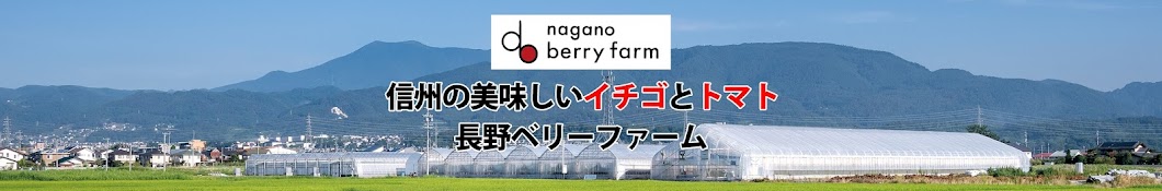 信州産イチゴとトマトの長野ベリーファーム