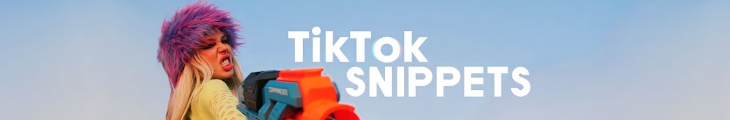 TikTok Snippets