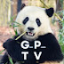 GPTV