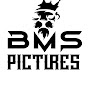 BMS Pictures