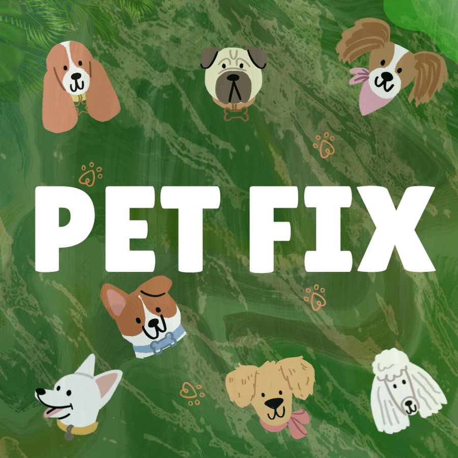 Pet Fix @petfix.official