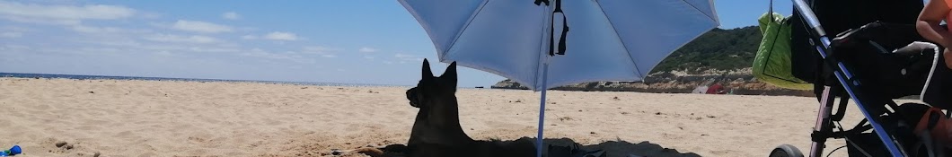 Malinois yagami