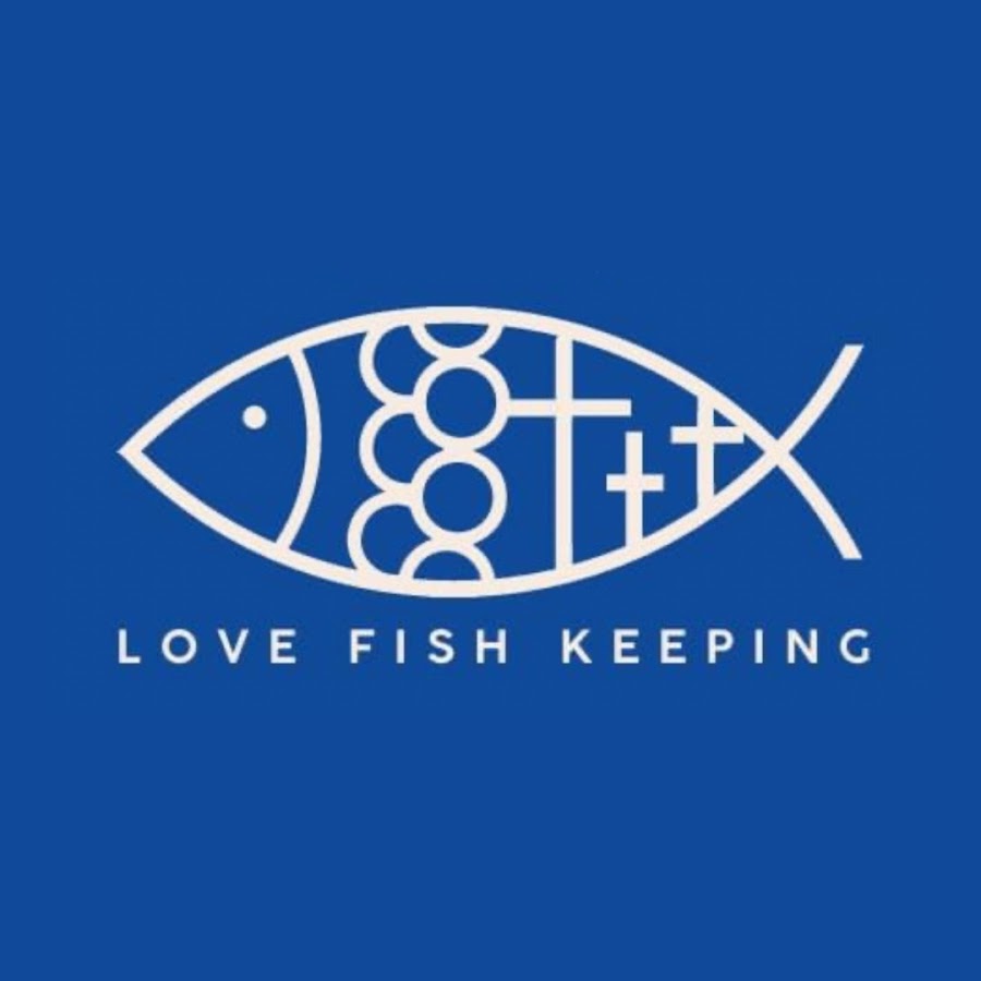 Love Fish Keeping 