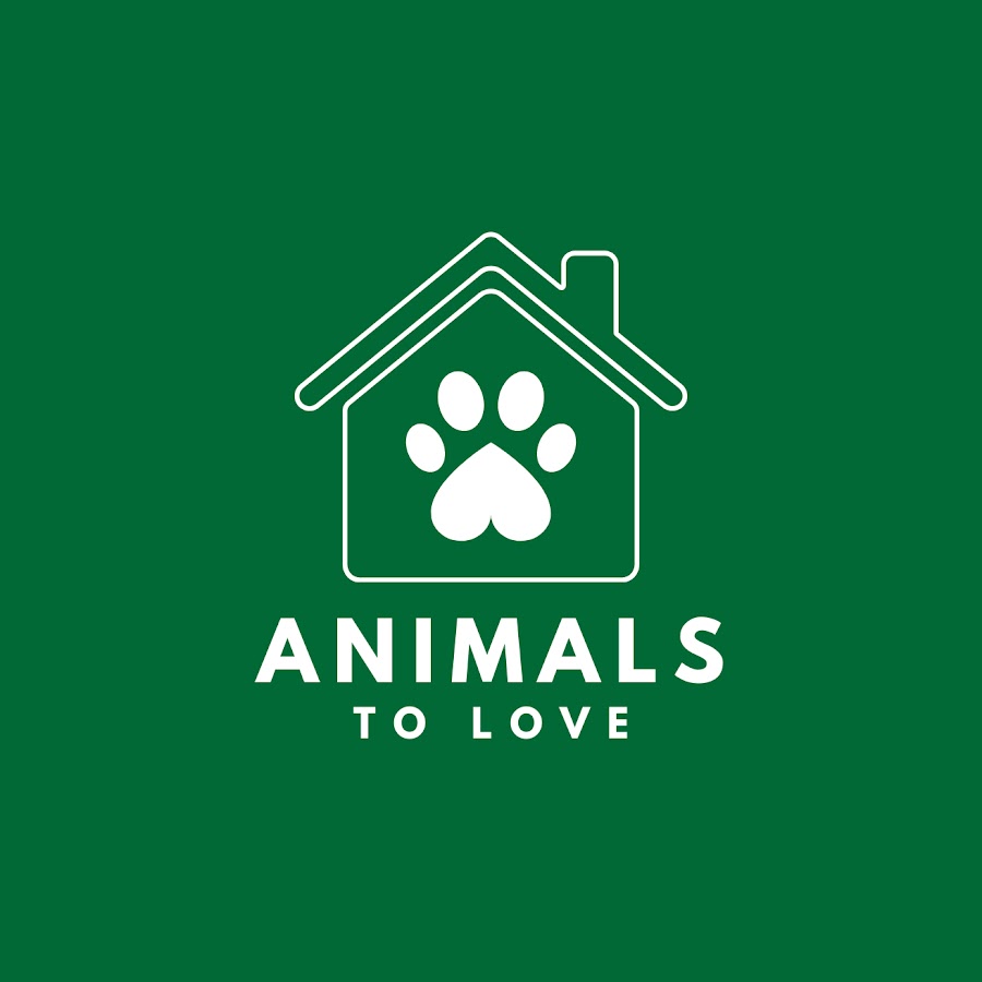 Animals To Love