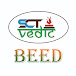 SCT VEDIC BEED