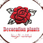 Decoration Plants