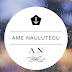 Ame Naulutegu