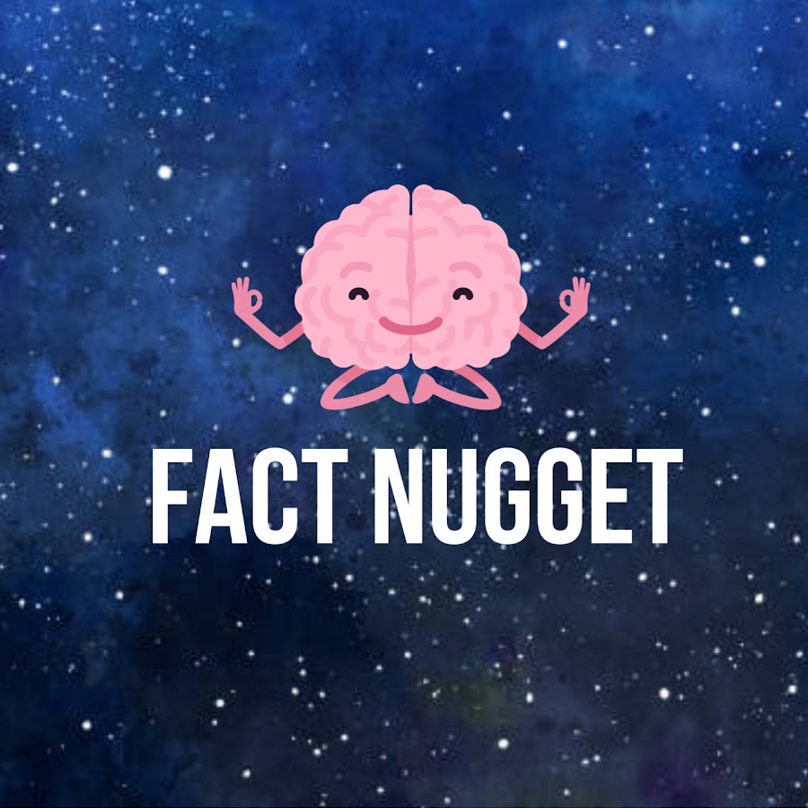 Ready go to ... https://www.youtube.com/channel/UCIRNBqzKiISouUb0icXkBHw [ Fact Nugget]