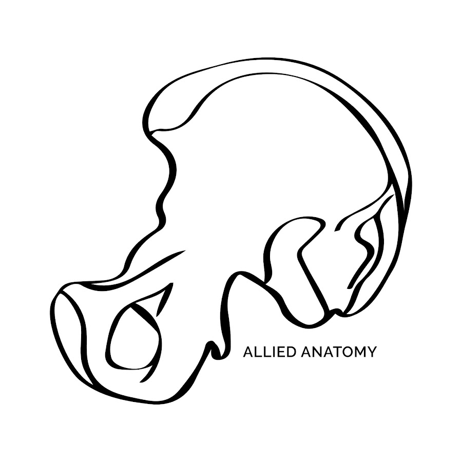 Allied Anatomy