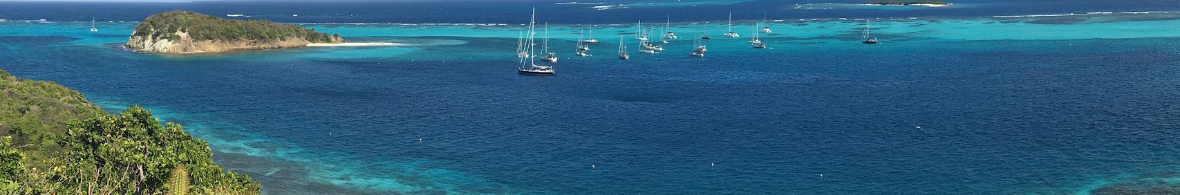sailingannemon