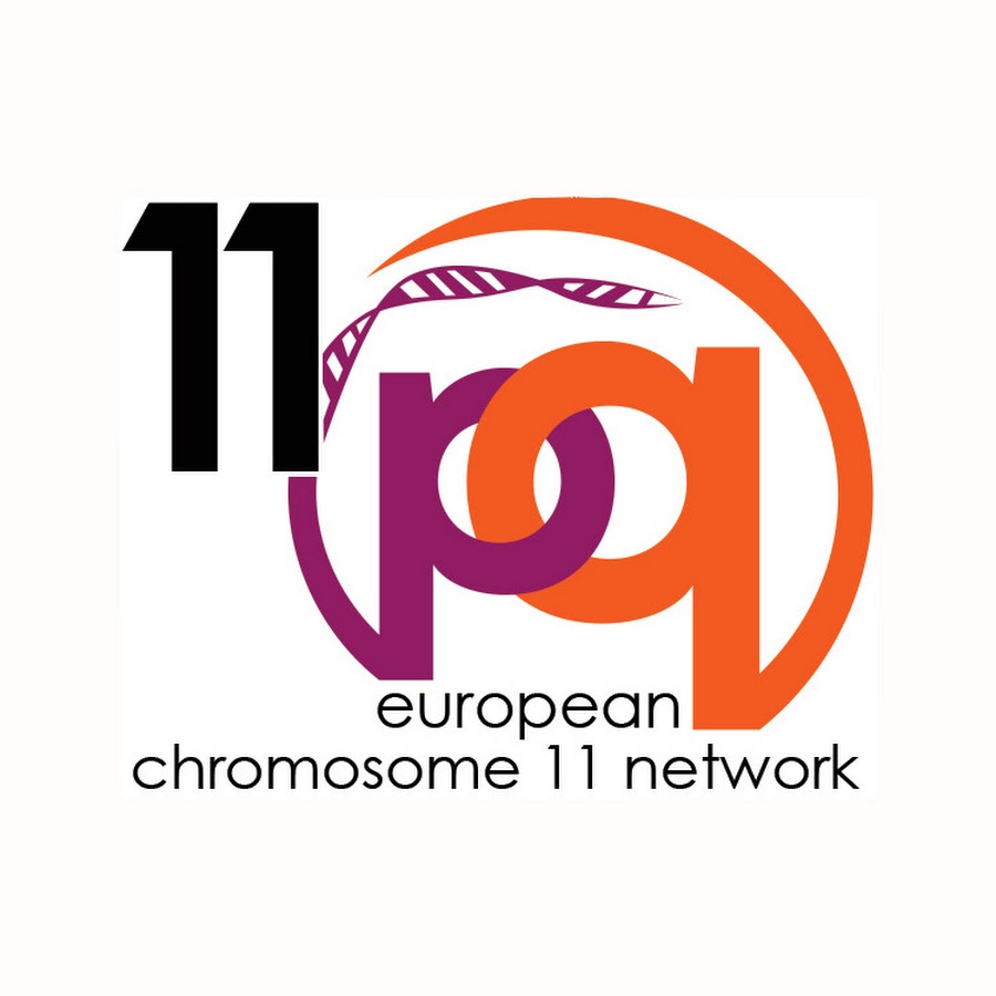 chromosome 11 wikiwand