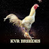 KVR breedes