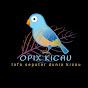 opix kicau