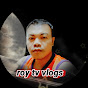 roy tv vlogs