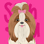 Shih Tzu Educado