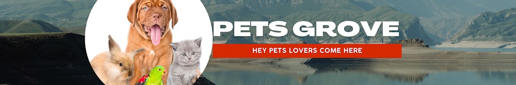 Pets Grove