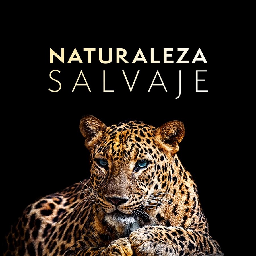 Naturaleza Salvaje