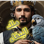 ملك الببغاء parrot king