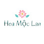 Hoa Mộc Lan