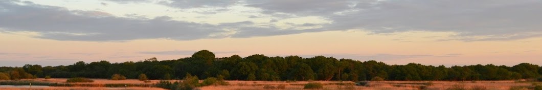 Norfolk Wildlife Trust