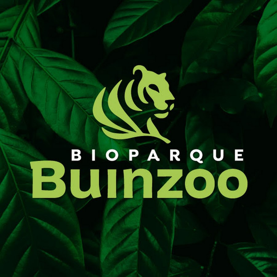 Bioparque Buinzoo TV @buinzootv