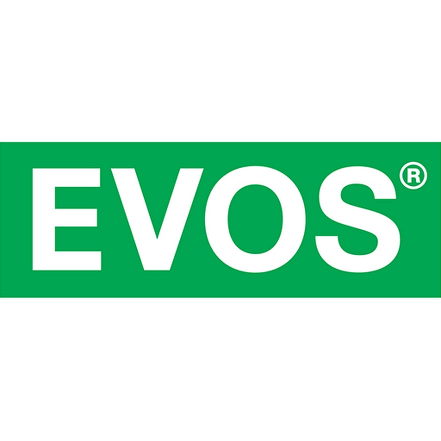 Евос лого. EVOS logo svg. EVOS logo Tashkent. EVOS New logo.