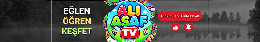 Ali Asaf TV