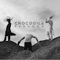 Crocodile Paradox