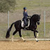 Dominique Dressage