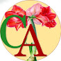 Comunidad Amaryllis