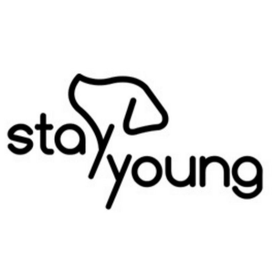 스테이영 StayYoung - Dog Training