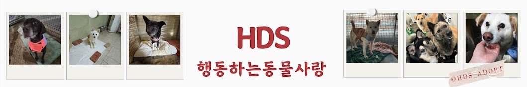 행동하는 동물사랑