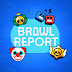 The Brawl Report