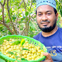 Nurislam Krishi Fruit Garden