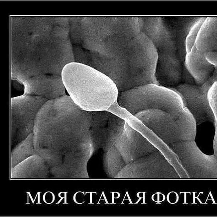 сперма картинка смешные фото 9