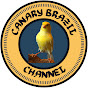 Canary Brazil