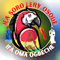 IFÀ SORO LERY OSODE